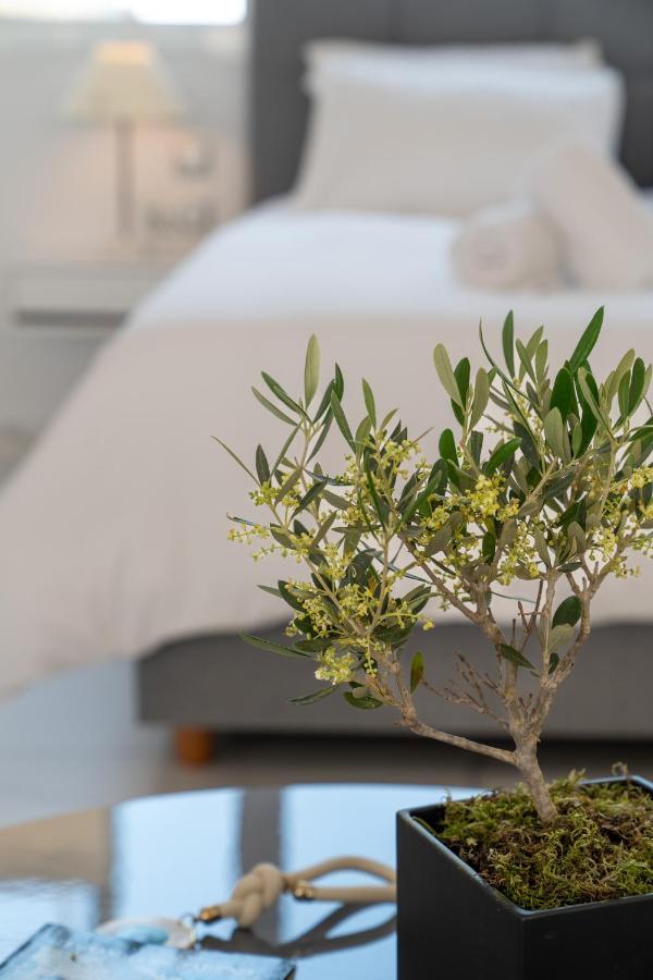 Olvar Suites Athen Eksteriør billede